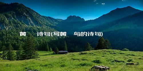 黄鹂 诗句(写黄鹂鸟的诗句)